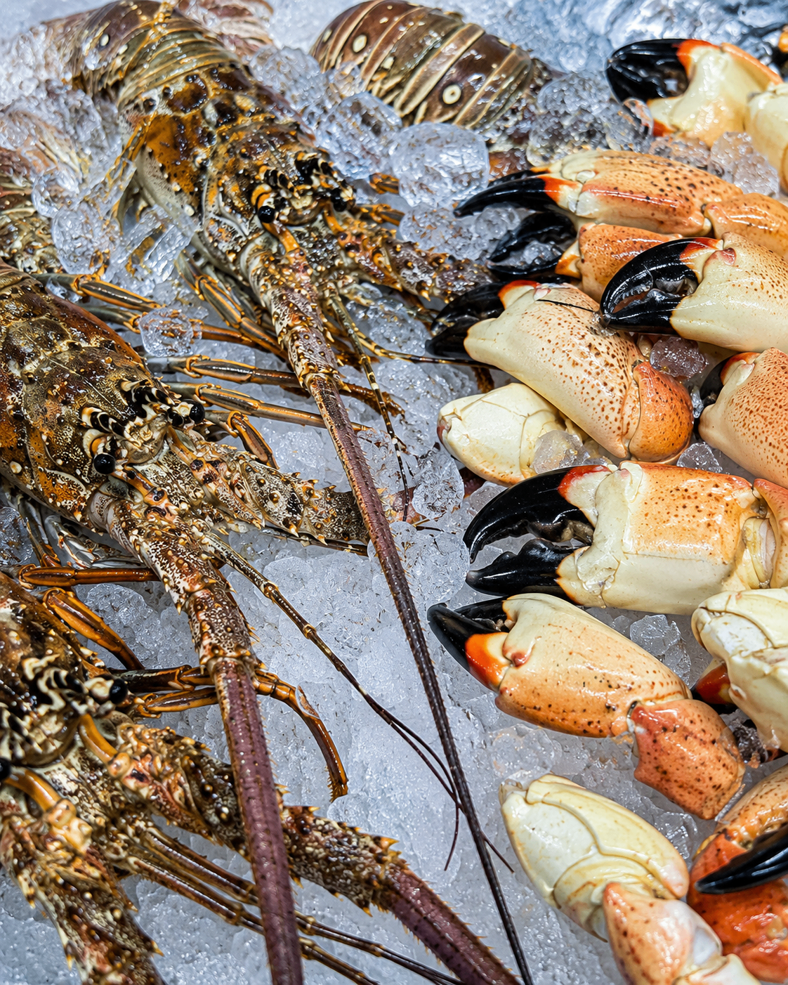 Fresh Seafood — Connor Eilers
